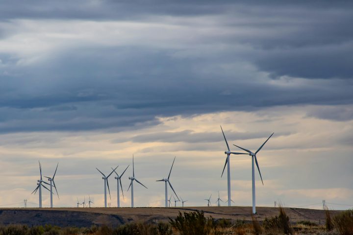 Veel wind