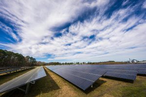Marktupdate week 18: Lage EPEX prijzen door overvloed aan zon