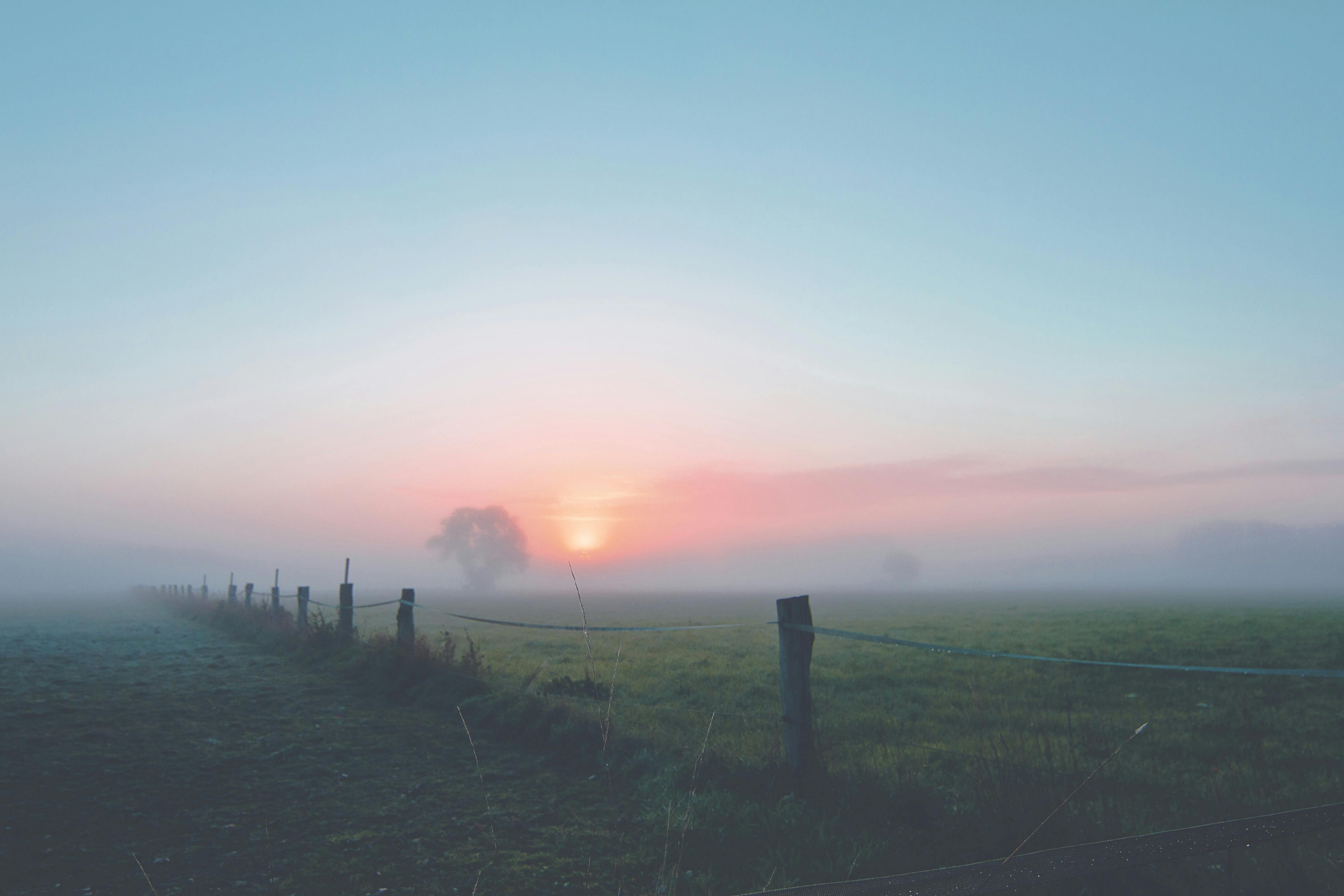 Marktupdate week 49: Mist en warm weer